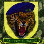 GEOpards patch