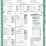 Erwin Character Sheet English