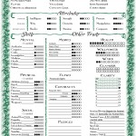 Salvo Character Sheet English