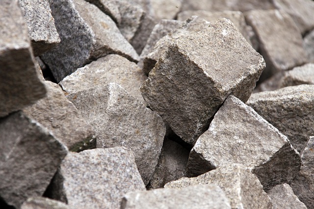 Pflasterstein der Revolte